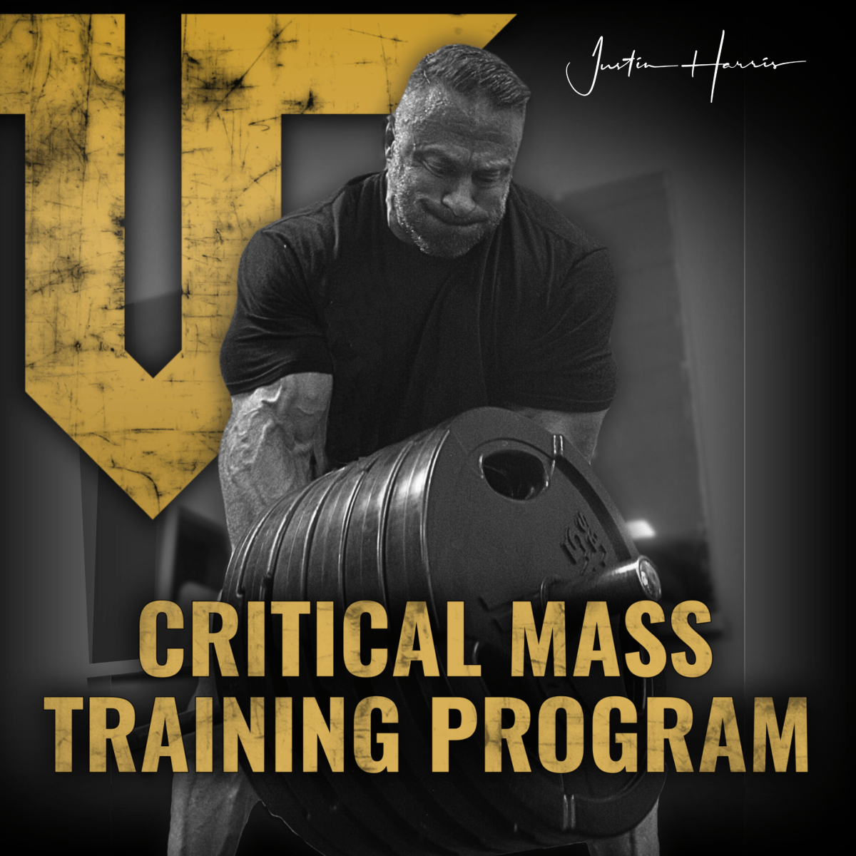 Bodybuilding routine for mass sale