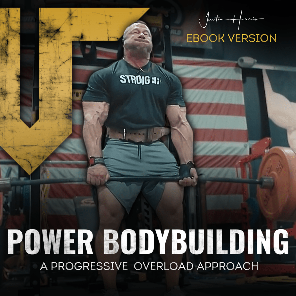 Power Bodybuilding Training Program - Troponin Nutrition