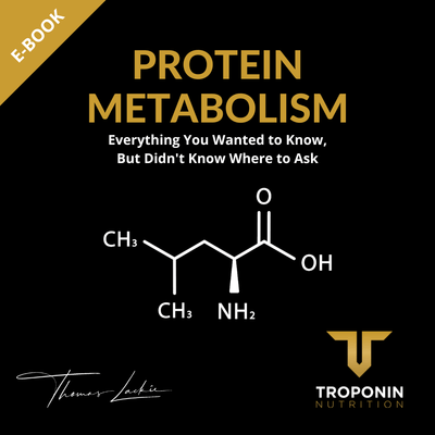 Protein Metabolism - Everything You Wanted to Know, But Didn't Know Where to Ask - Troponin Nutrition